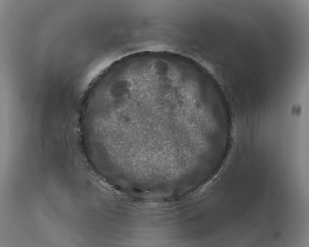 X0000111791263200908131404