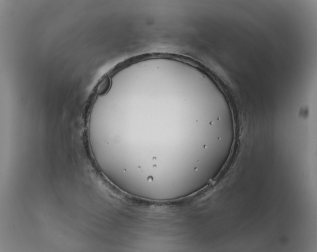 X0000111791264200908131404