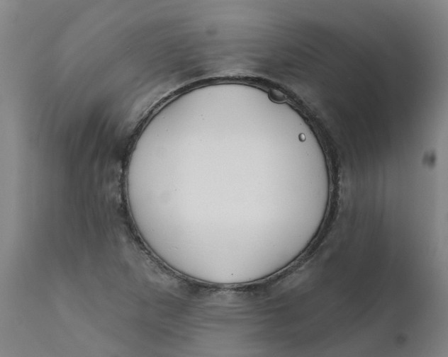 X0000111791265200908131404