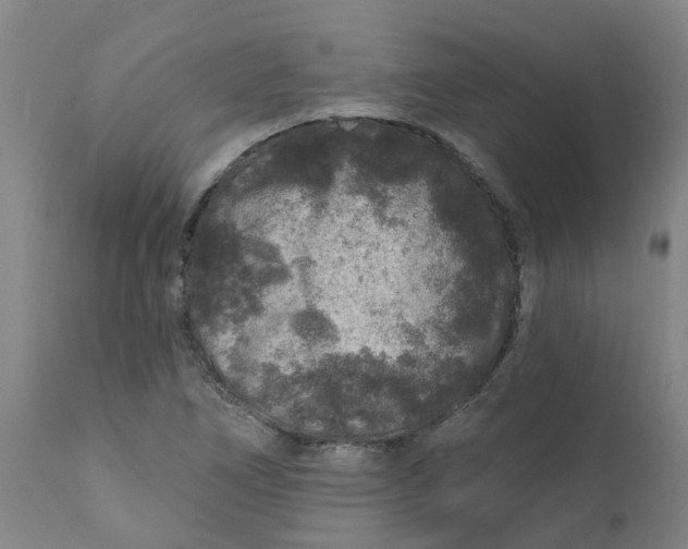 X0000111791266200908131404