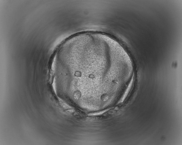 X0000111791267200908131404