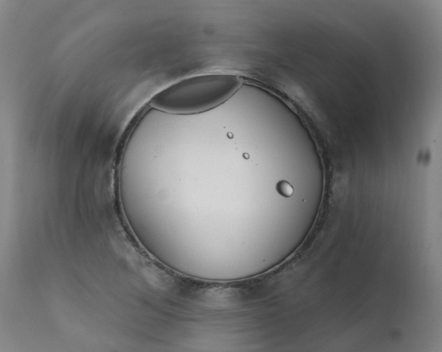 X0000111791268200908131404