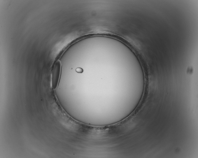 X0000111791269200908131404