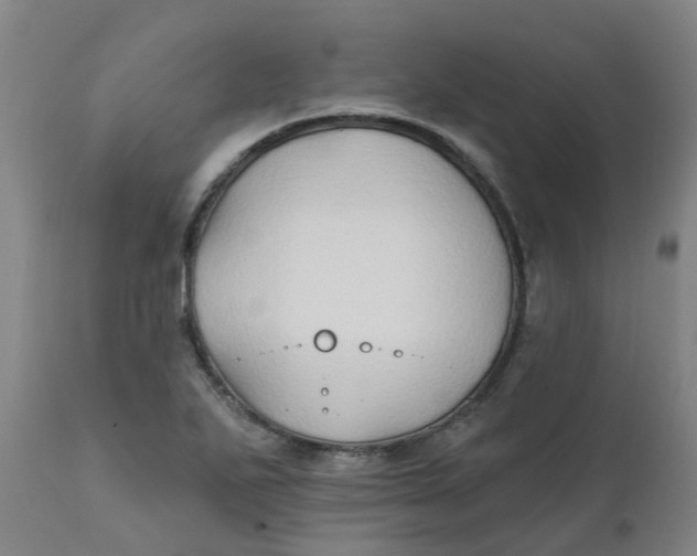 X0000111791271200908131404