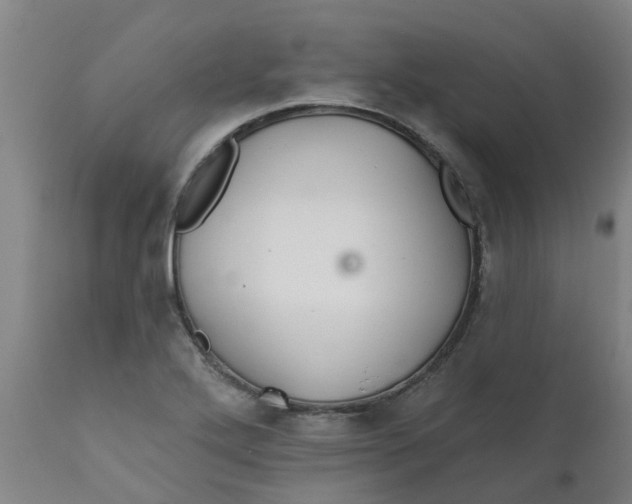 X0000111791272200908131404