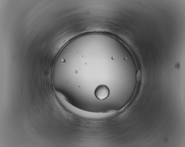 X0000111791273200908131404