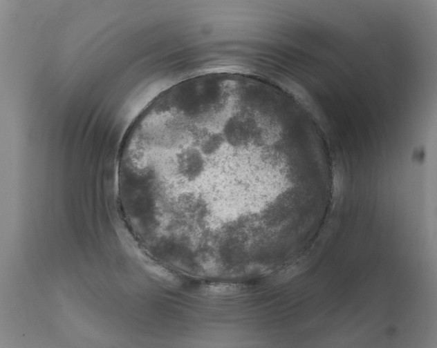 X0000111791274200908131404