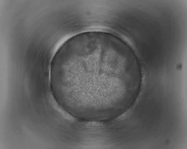 X0000111791275200908131403