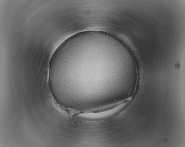 X0000111791276200908131403