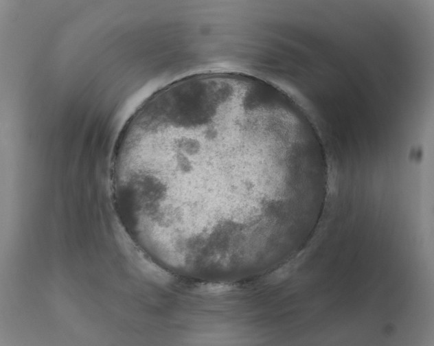 X0000111791278200908131403