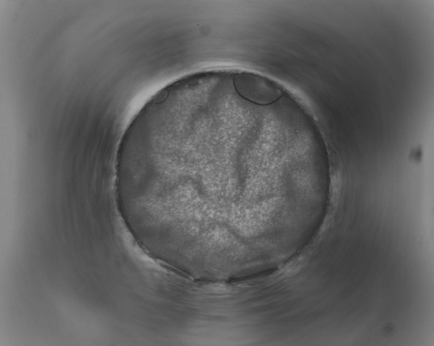 X0000111791279200908131403