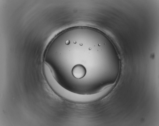 X0000111791280200908131403