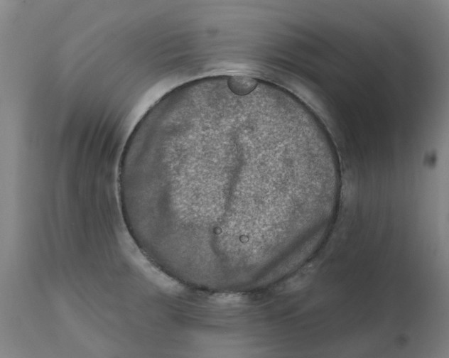 X0000111791283200908131403