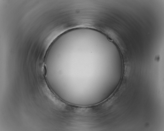 X0000111791284200908131403