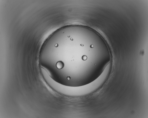 X0000111791285200908131403