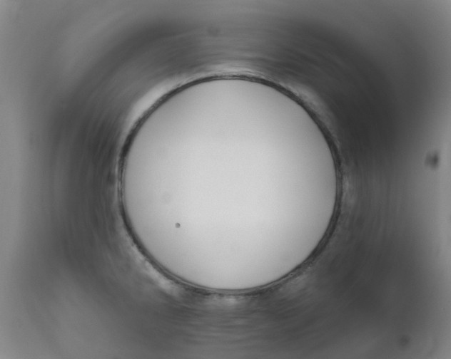 X0000111791286200908131403