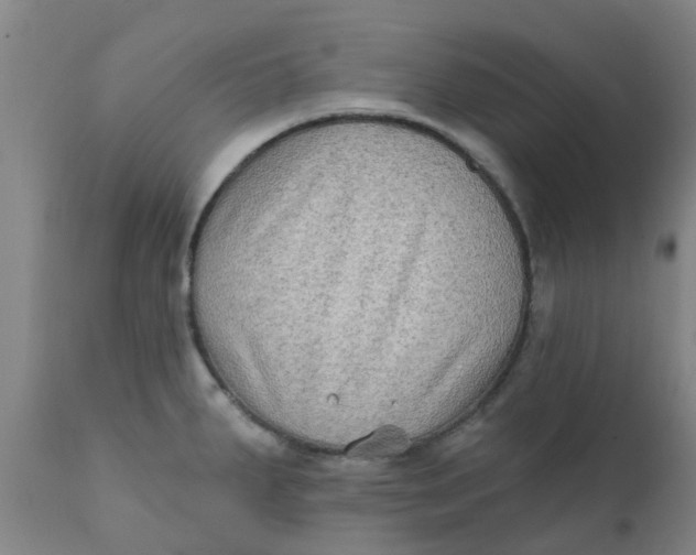 X0000111791287200908131403