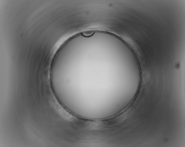 X0000111791288200908131403