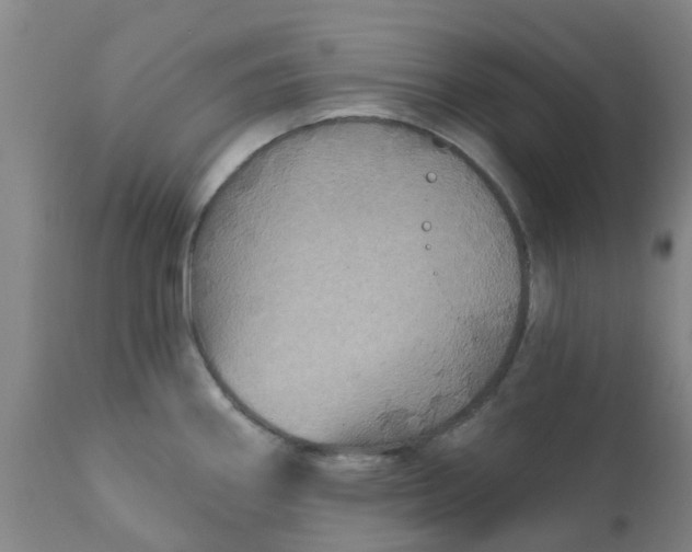 X0000111791290200908131403