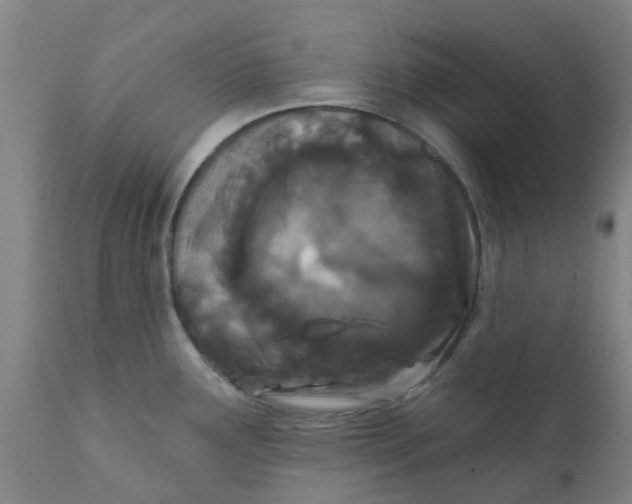 X0000111791291200908131403