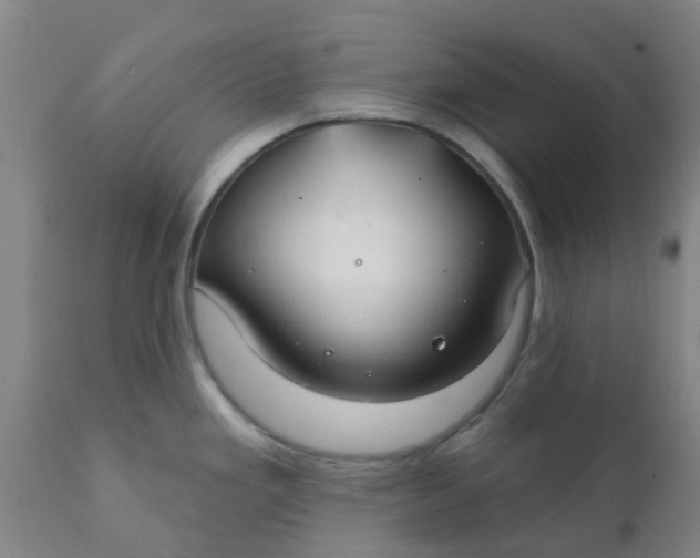 X0000111791293200908131403