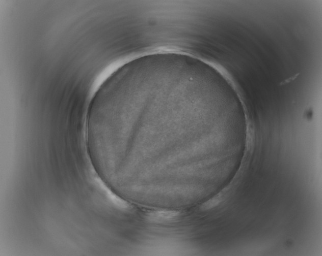 X0000111791294200908131403