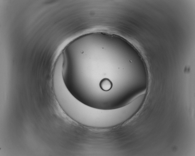 X0000111791296200908131403