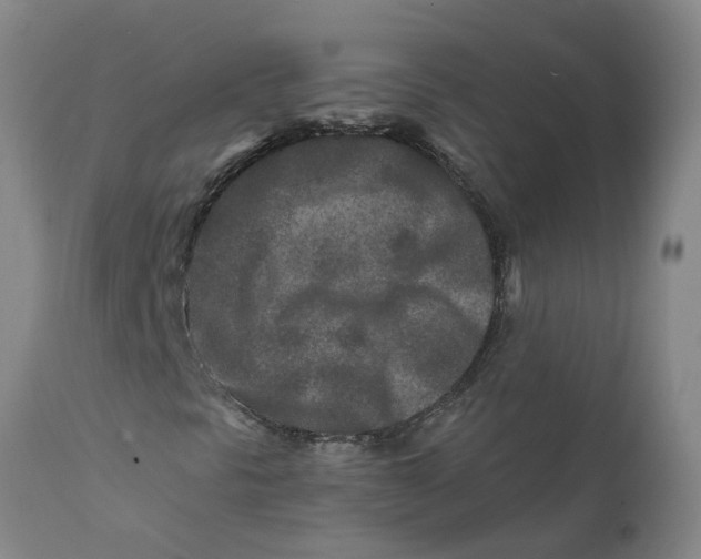 X0000111791297200908131402