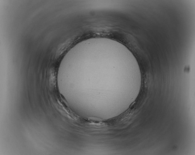 X0000111791298200908131402