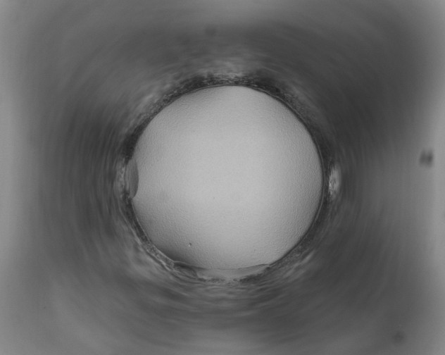 X0000111791299200908131402