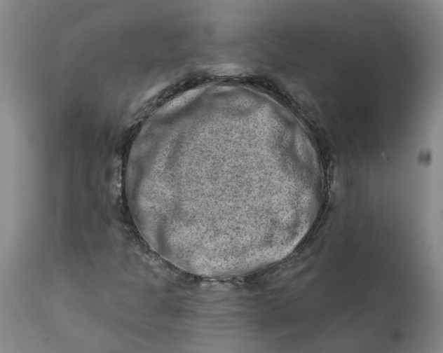 X0000111791301200908131403