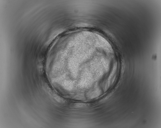 X0000111791305200908131403