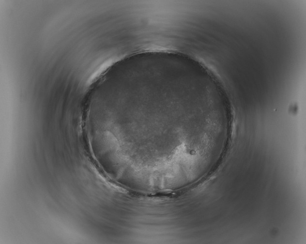 X0000111791306200908131403