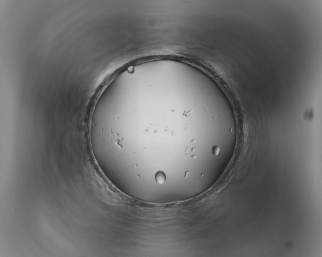 X0000111791308200908131403