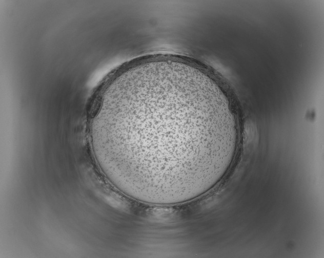 X0000111791310200908131403