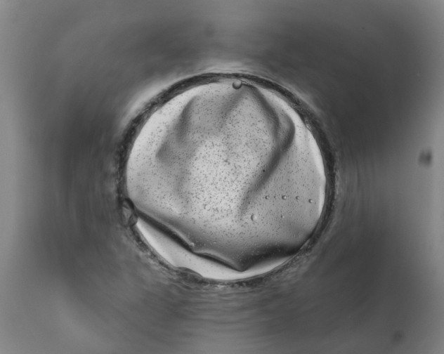 X0000111791311200908131403