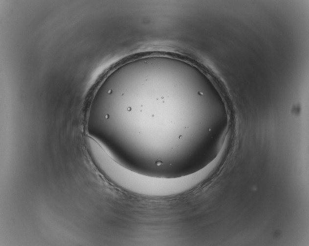 X0000111791312200908131403