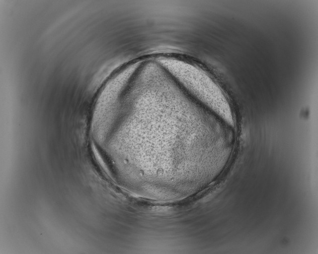 X0000111791313200908131403