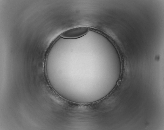 X0000111791316200908131403