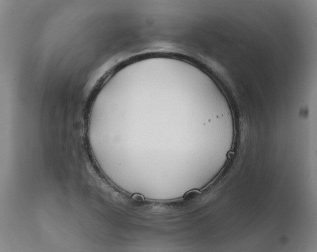 X0000111791318200908131403