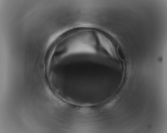 X0000111791319200908131403