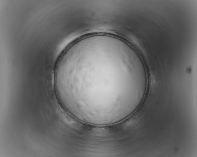 X0000111791320200908131403