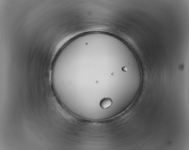 X0000111791324200908131403