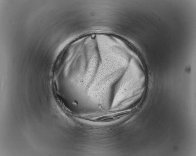 X0000111791325200908131403