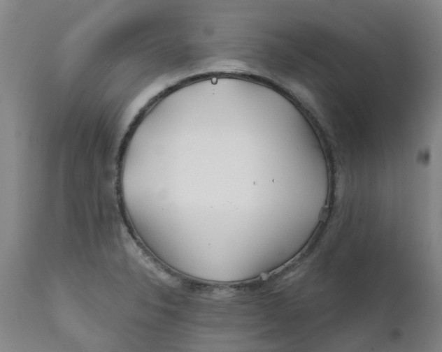 X0000111791326200908131403