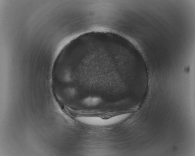 X0000111791327200908131403