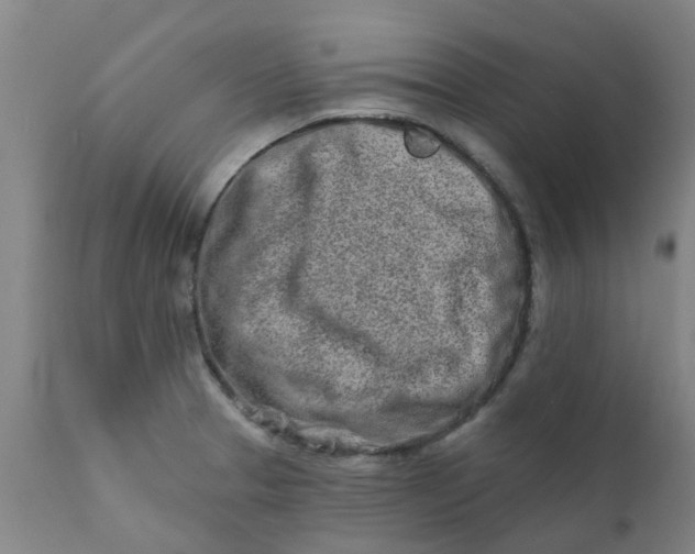 X0000111791329200908131403