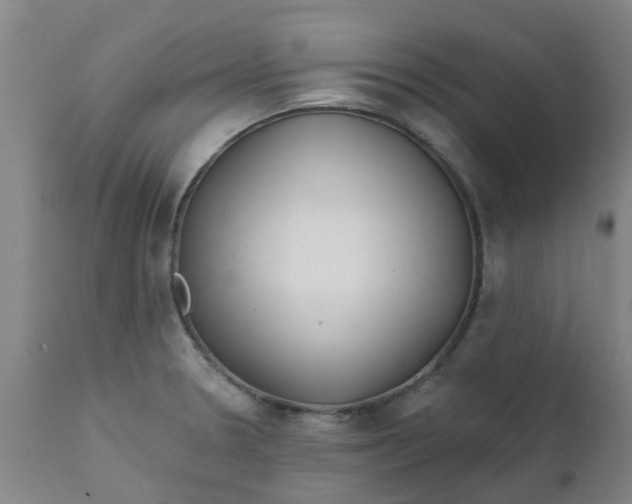 X0000111791330200908131403