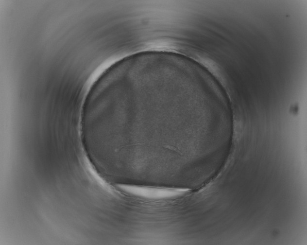 X0000111791331200908131403