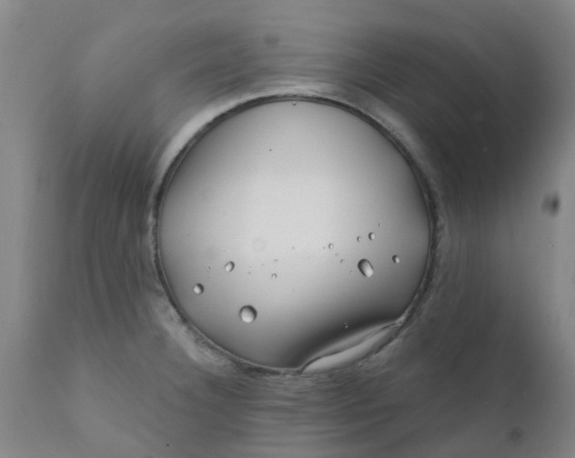 X0000111791332200908131403